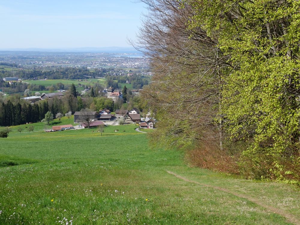 Blick auf Sulzberg