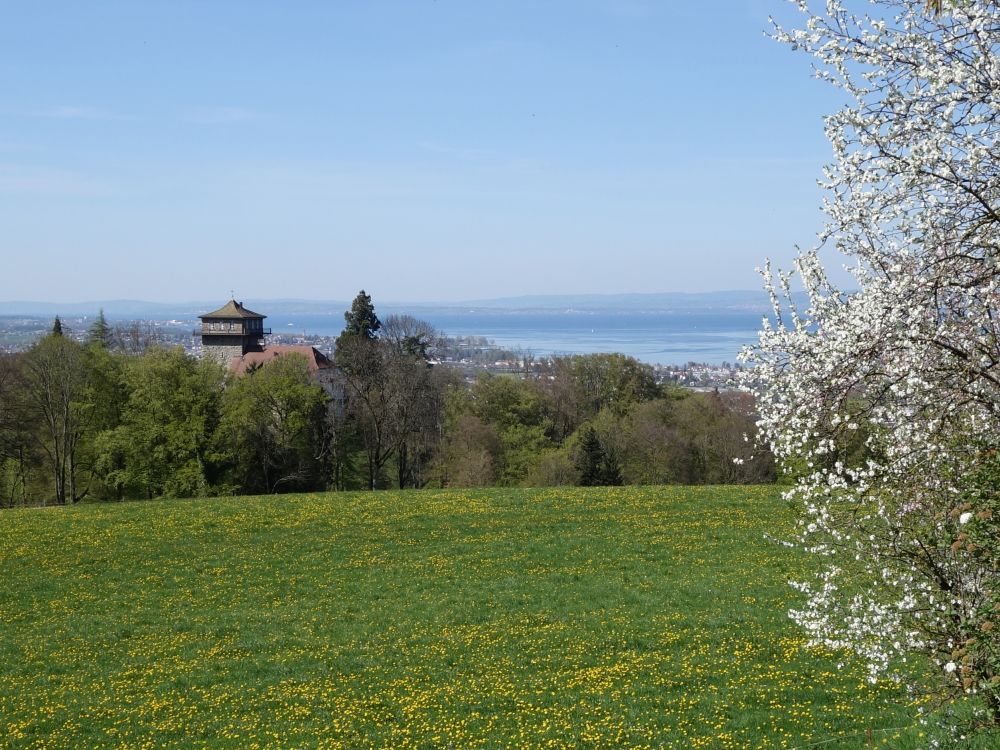 Schloss Sulzberg und Bodensee