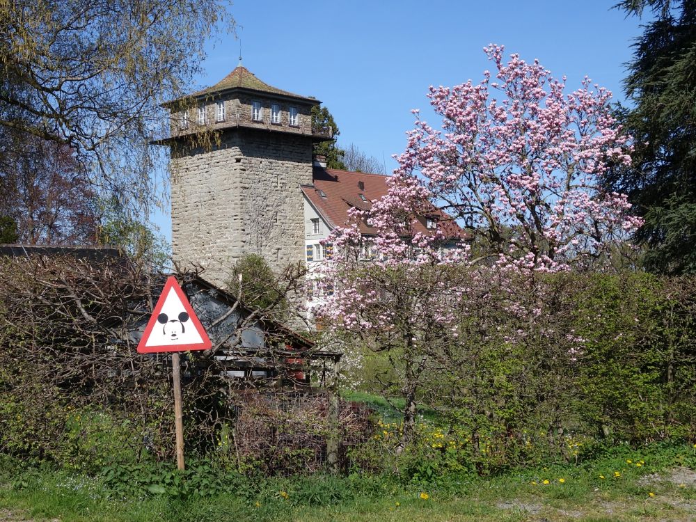Schloss Sulzberg