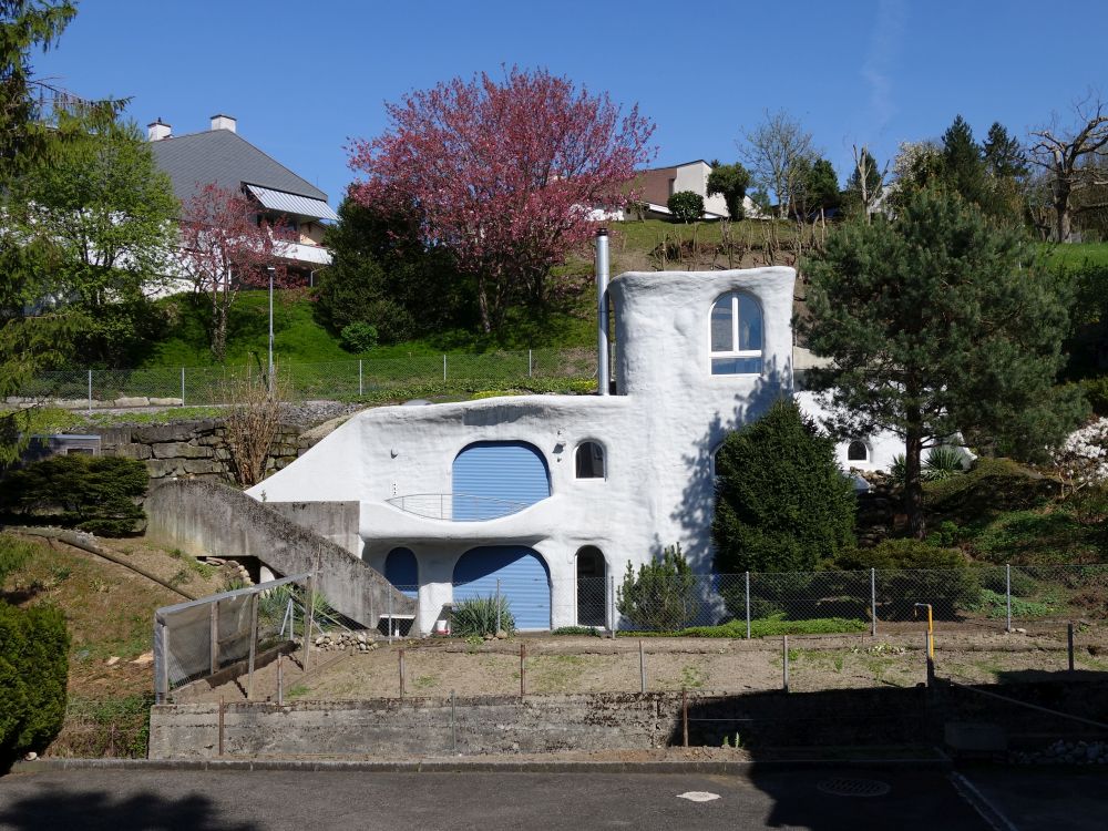 Hundertwasser(?)haus