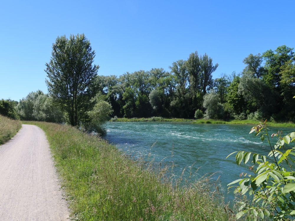 Dammweg am Limmatufer