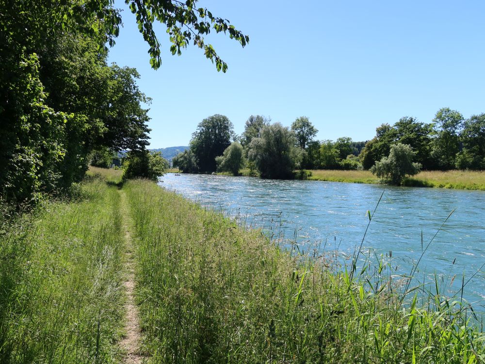 Wiesenpfad am Limmatufer