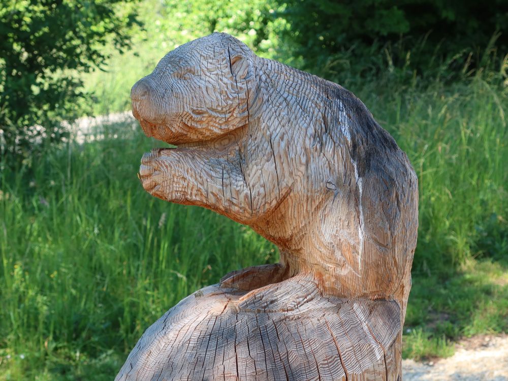 Holzbiber