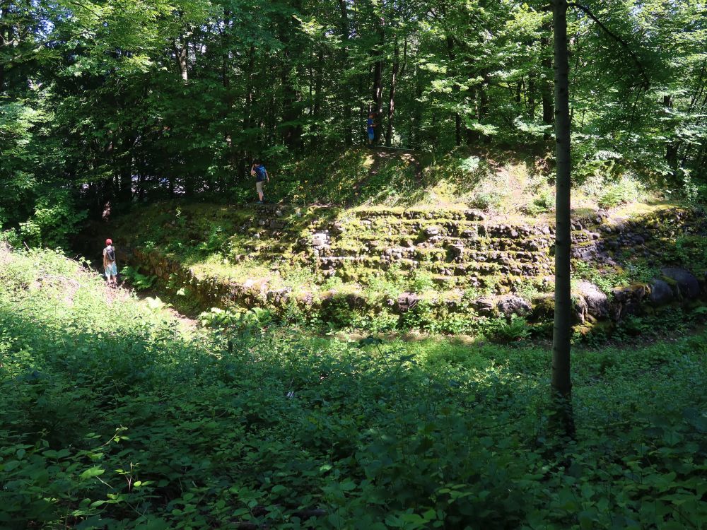 Burgruine Glanzenberg