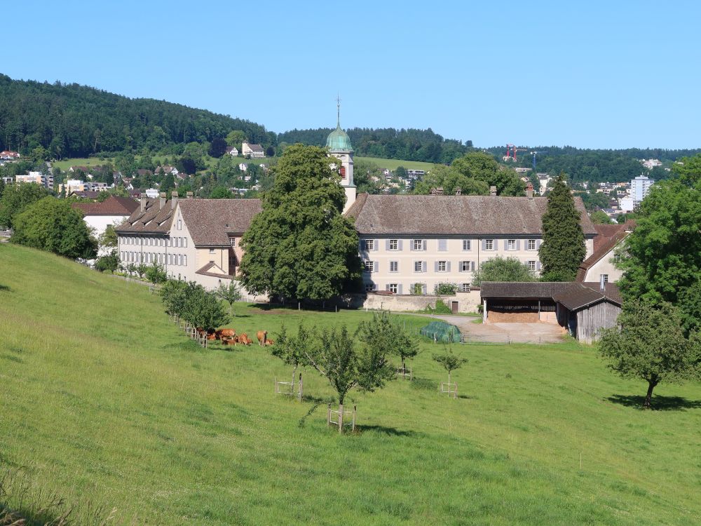 Kloster Fahr