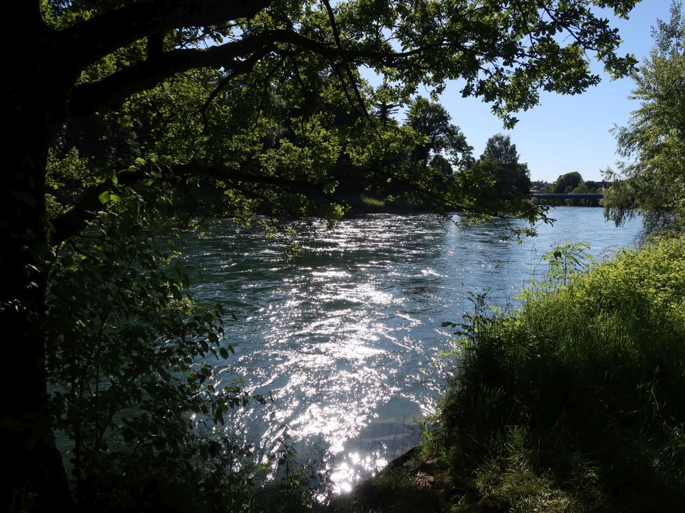Limmat