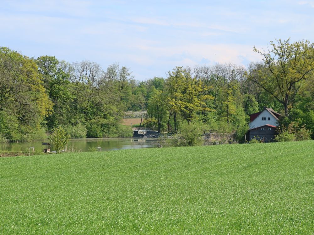 Eisweiher