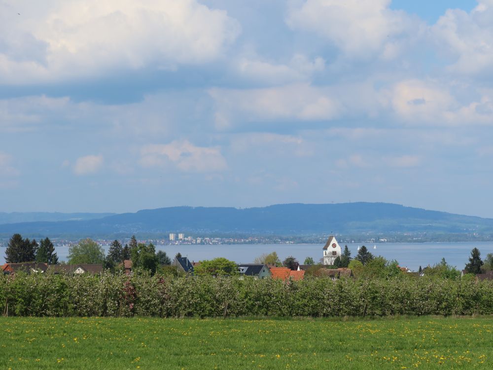 Blick zum Bodensee