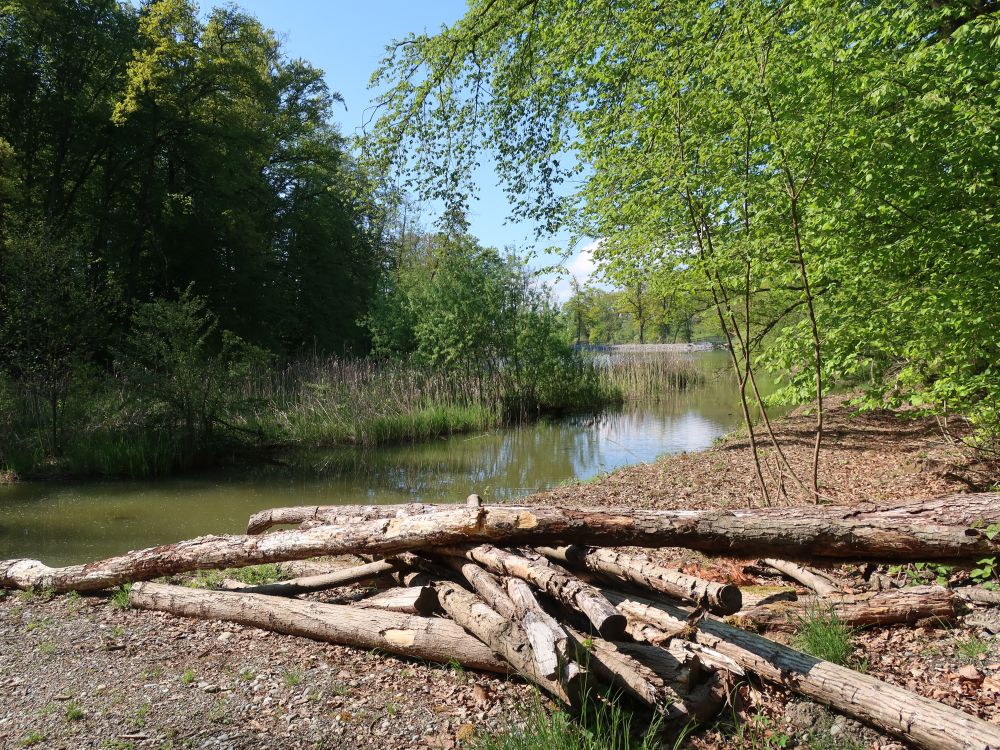 Eisweiher