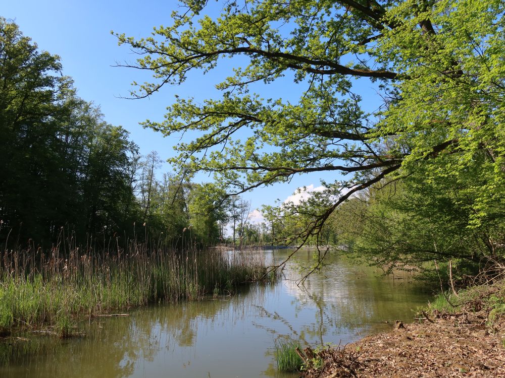 Eisweiher