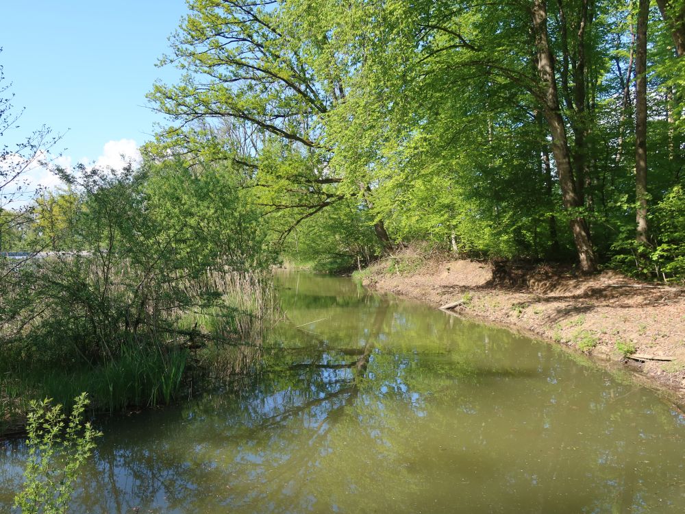 Eisweiher