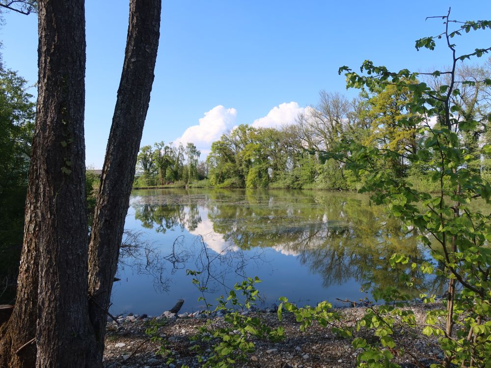 Eisweiher