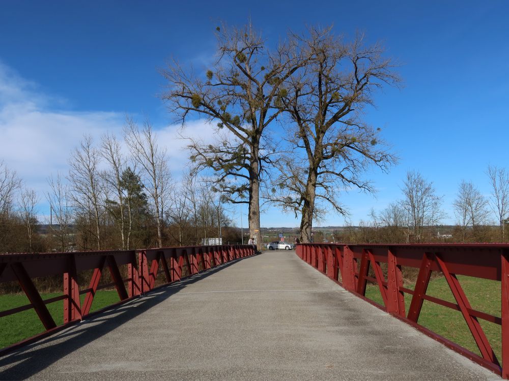 Vorbrücke der Zollbrücke