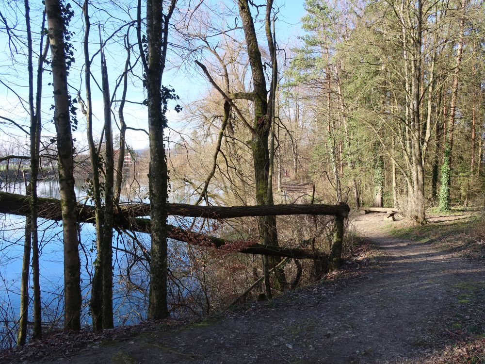 Uferweg am Wisterenweiher