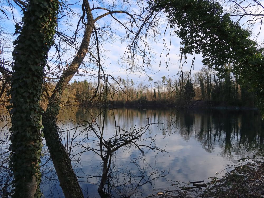 Wisterenweiher