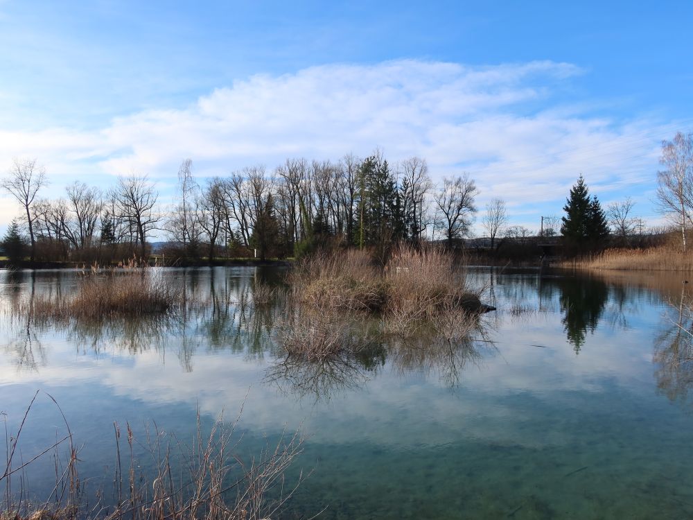 Vagoweiher