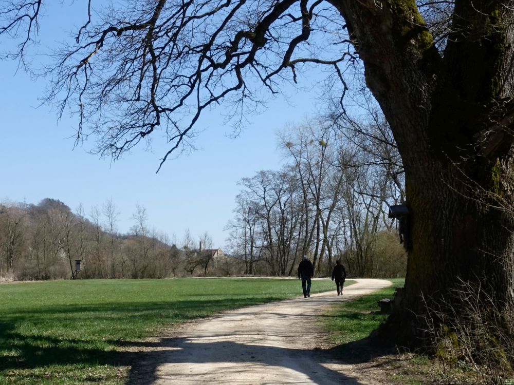 Weg an der Sockacher Aach