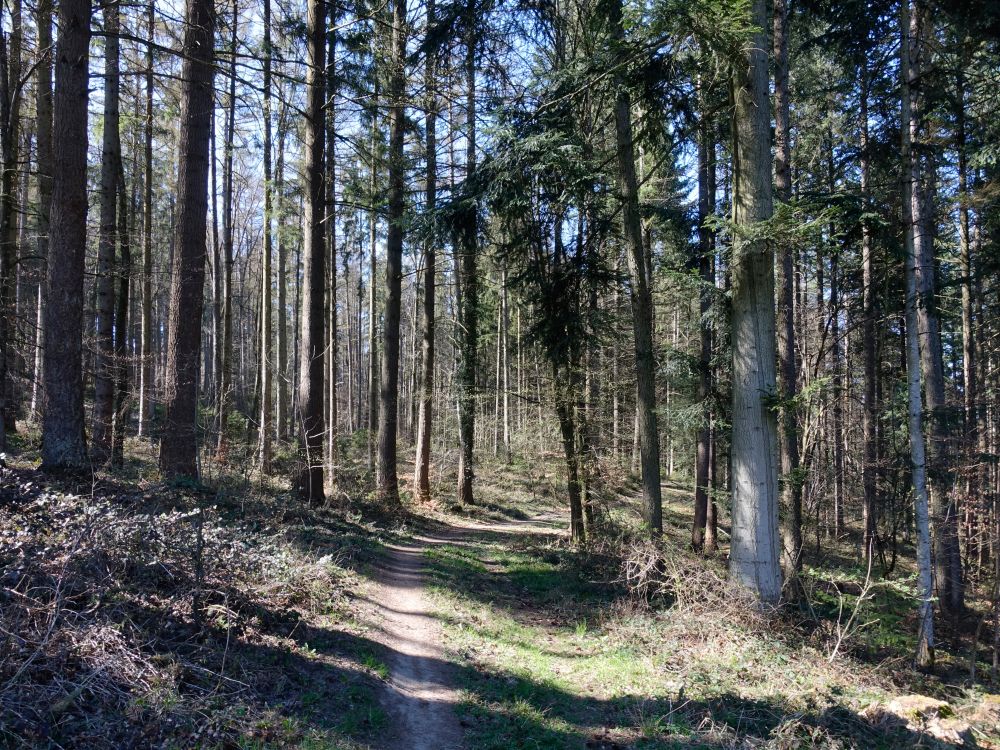 Römerbrunnenweg