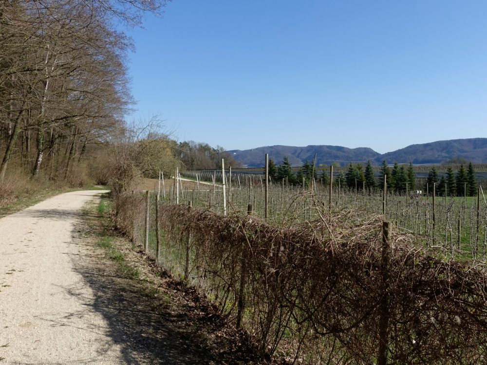 Weg und Blick zum Bodanrück