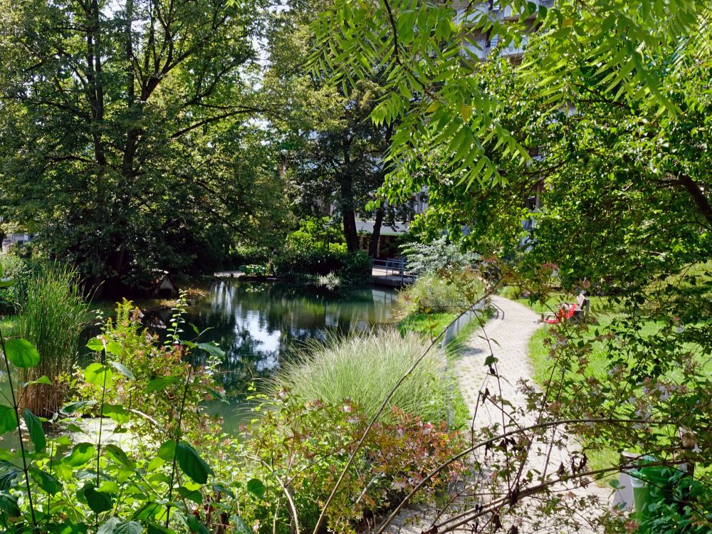 Teich an der Rosentalstrasse