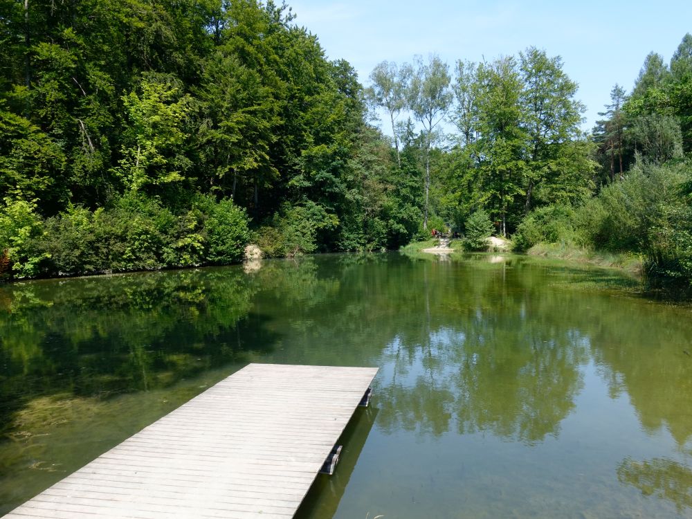 Mittlerer Walcheweiher