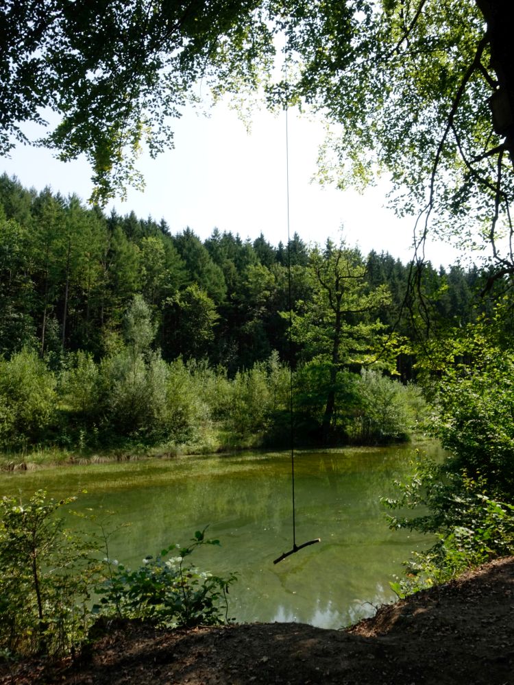 Schaukel am Walcheweiher