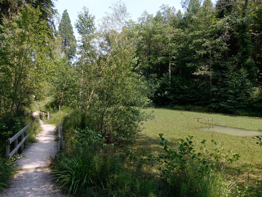 Holzsteg am Walcheweiher