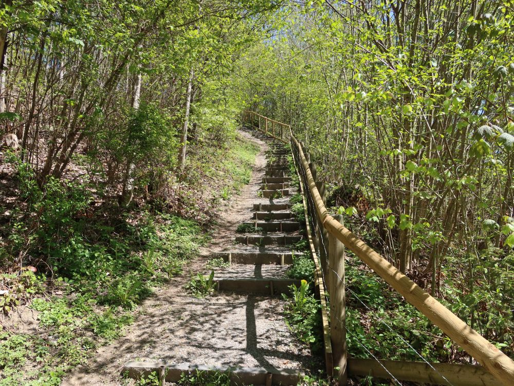 Treppe im Badtobel