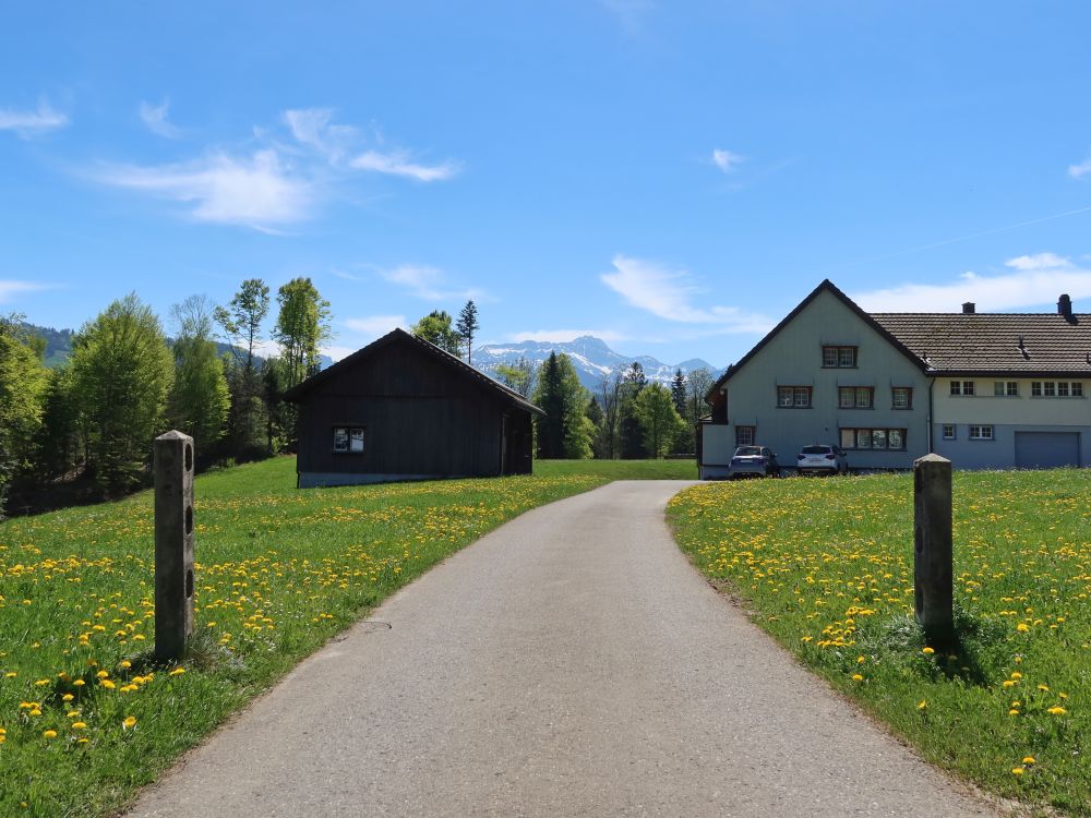 Blick Richtung Säntis