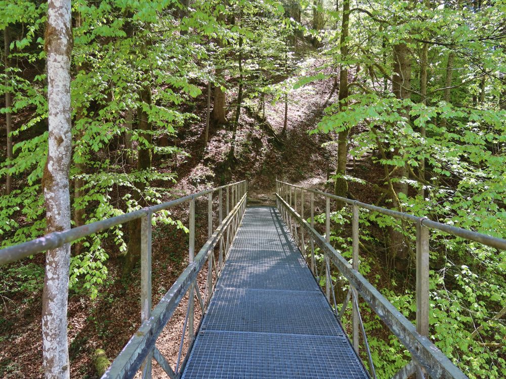 Auensteg