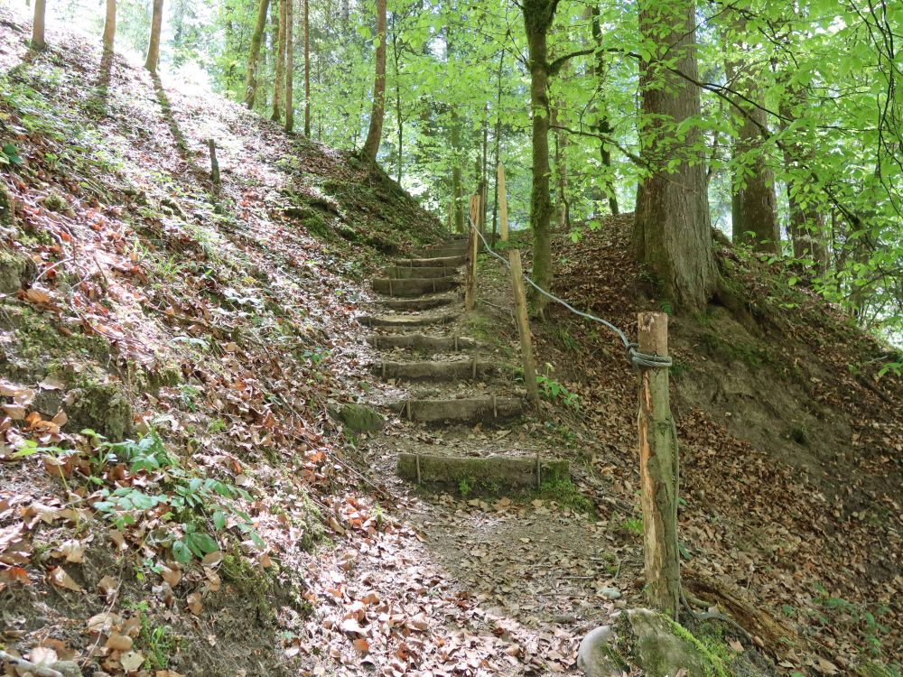 Treppe beim Auensteg