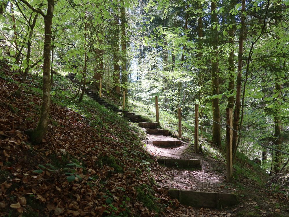 Treppe beim Auensteg
