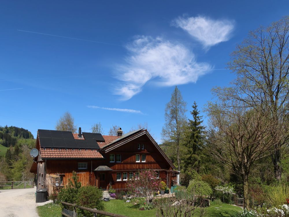 Haus am Auensteg