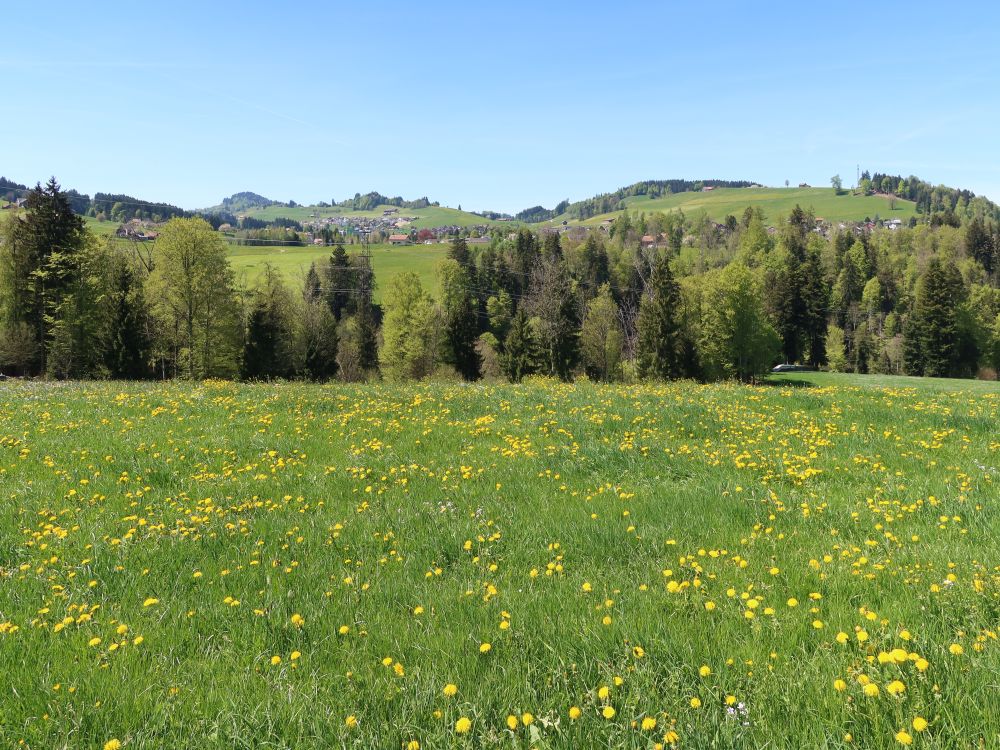 Blick Richtung Waldstatt