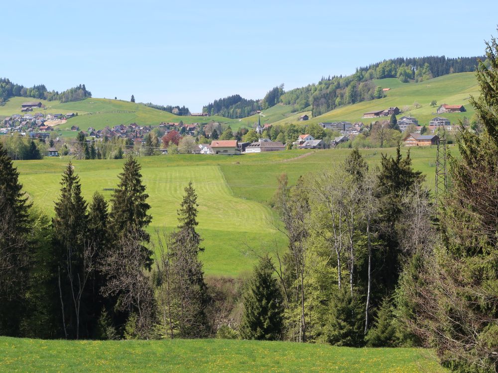 Blick Richtung Waldstatt