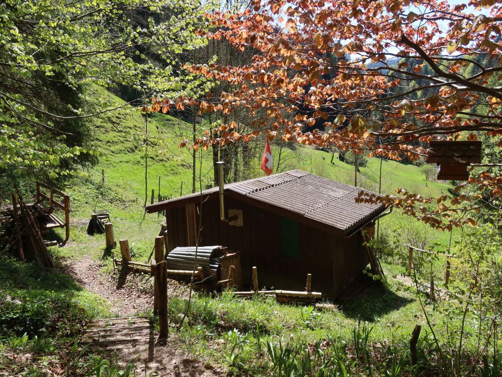 Hütte am Waldrand