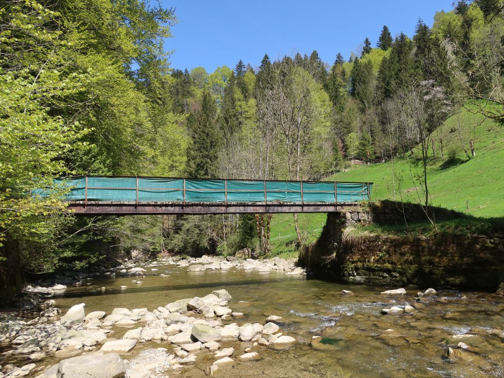 Auenlochsteg