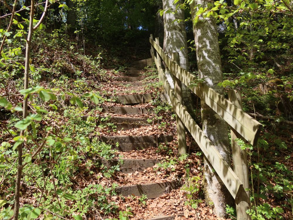 Treppe