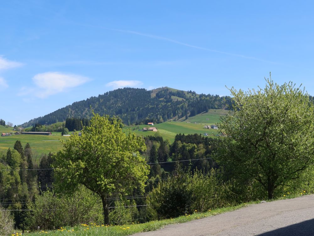 Blick zur Hundwiler Höhi