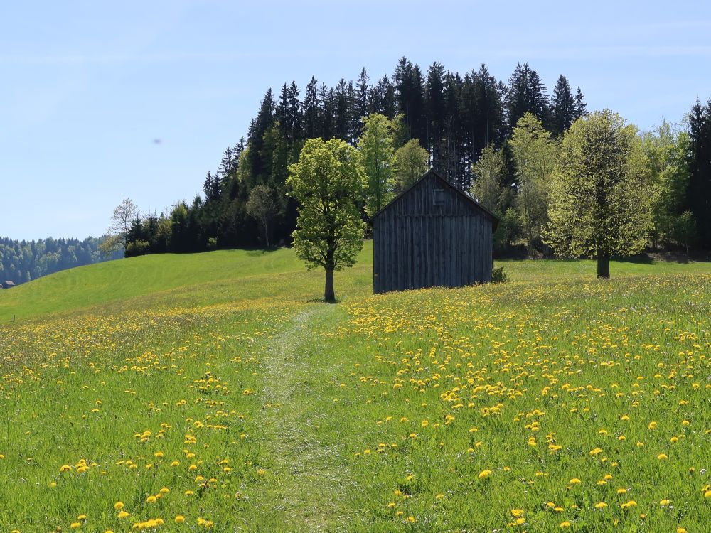 Wiesenpfad und Scheune