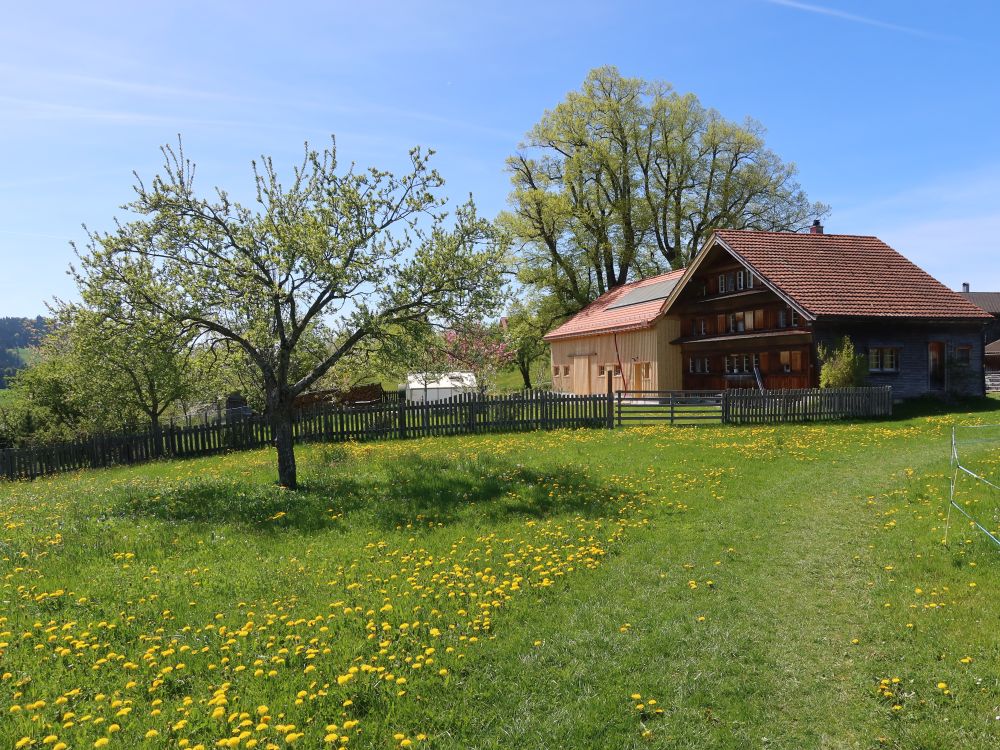 Oberwaldstatt