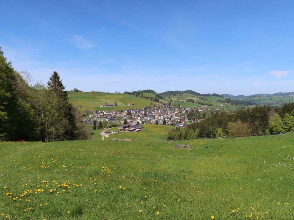 Blick Richtung Waldstatt