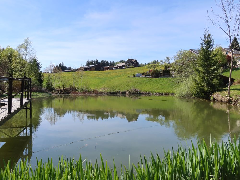 Fischteich bei Waldstatt