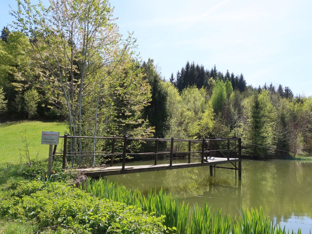 Steg im Fischteich