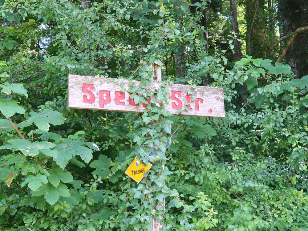 Strassenschild