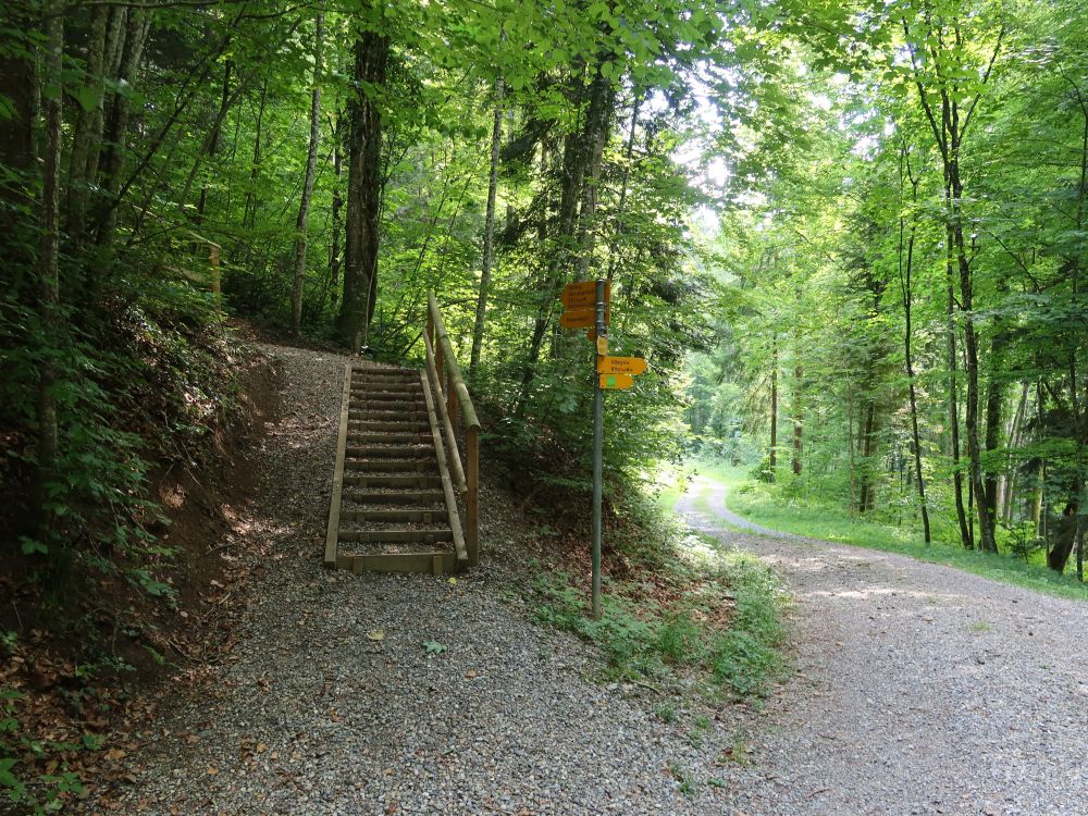 Treppe