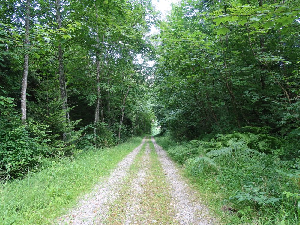 Mösliweg