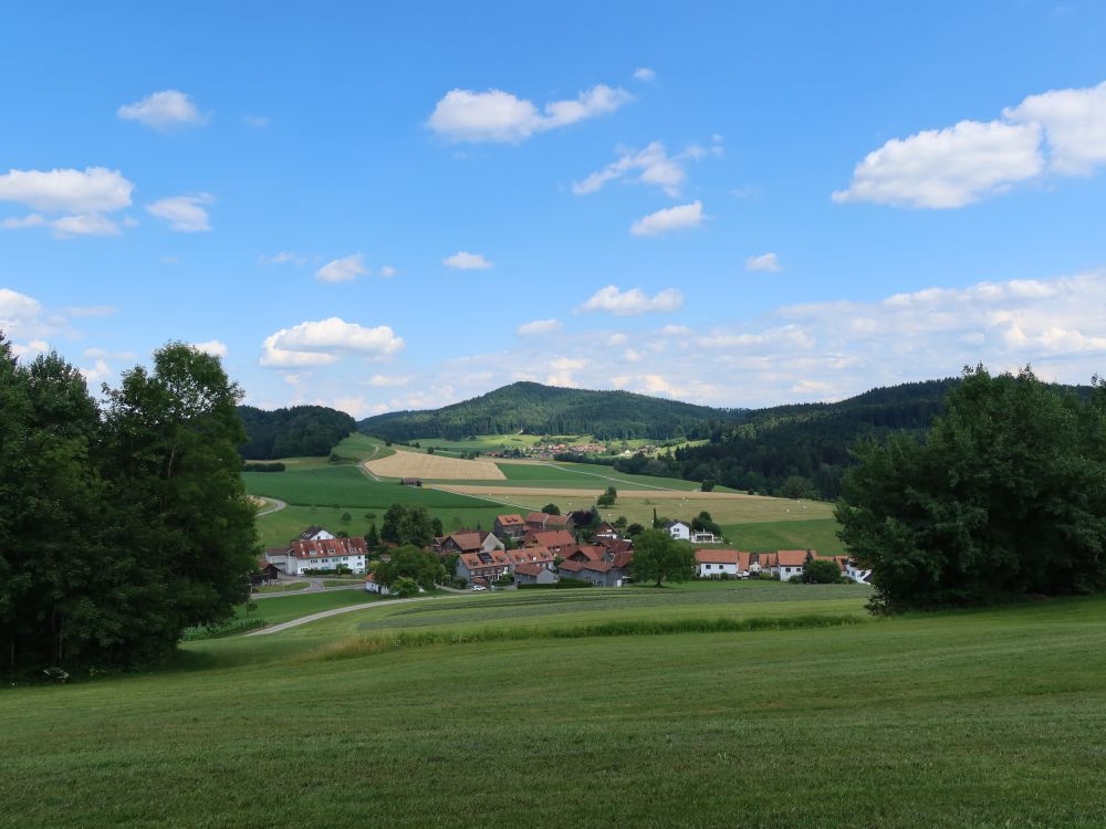 Hardbuck und Unterschlatt