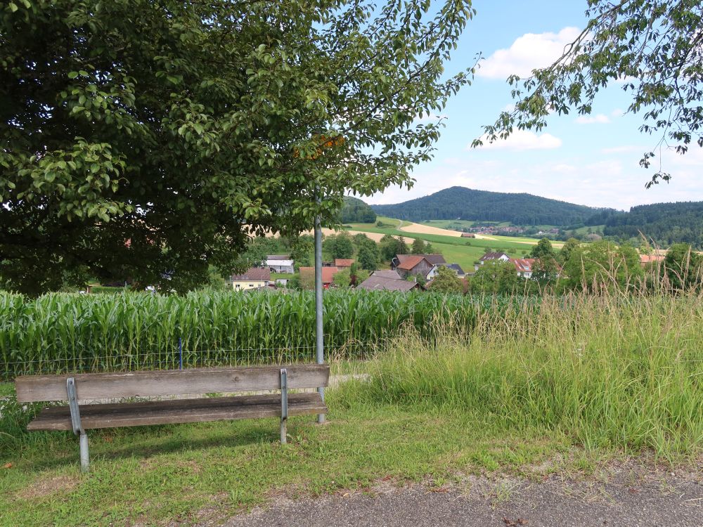 Sitzbank am Maisfeld