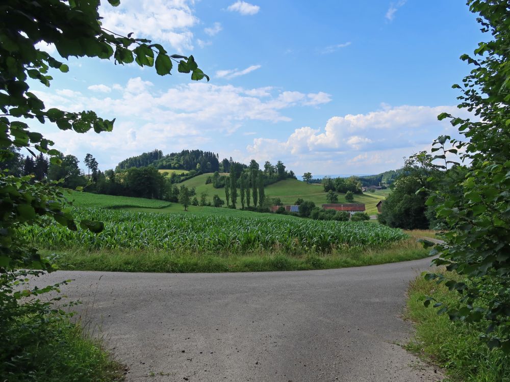 Eichbüel und Johannestal
